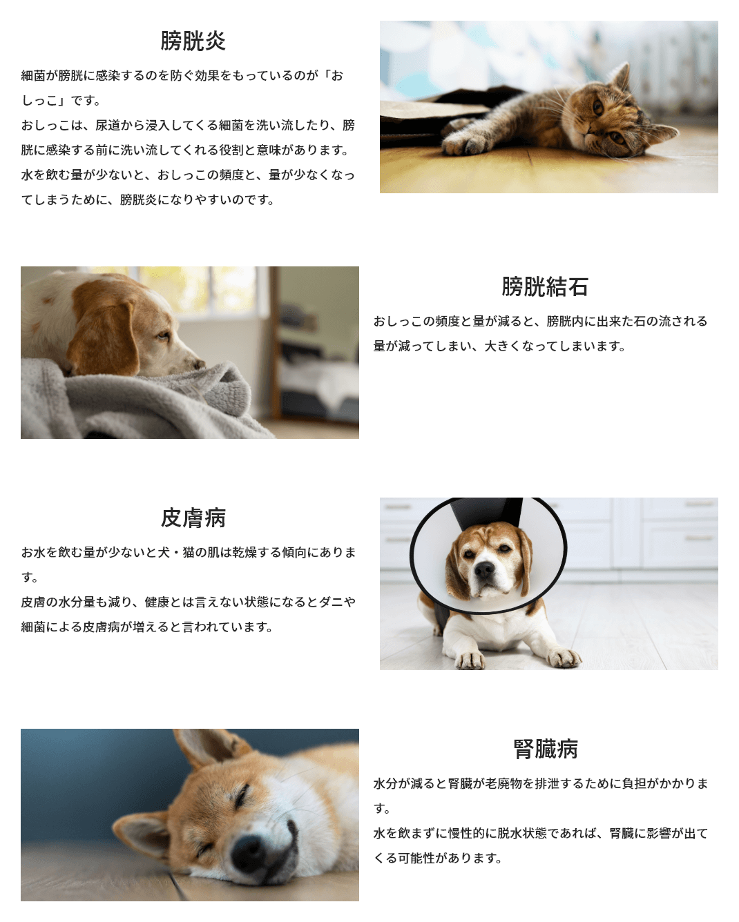 水分補給