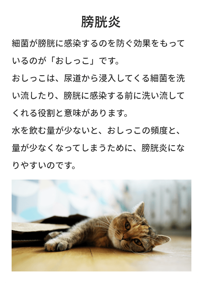 膀胱炎