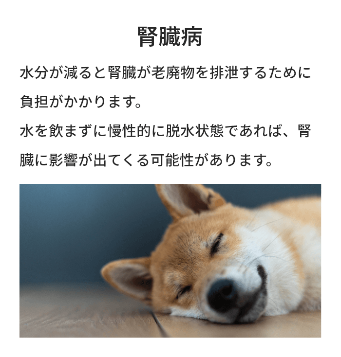 腎臓病