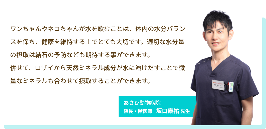 獣医師さんのコメント