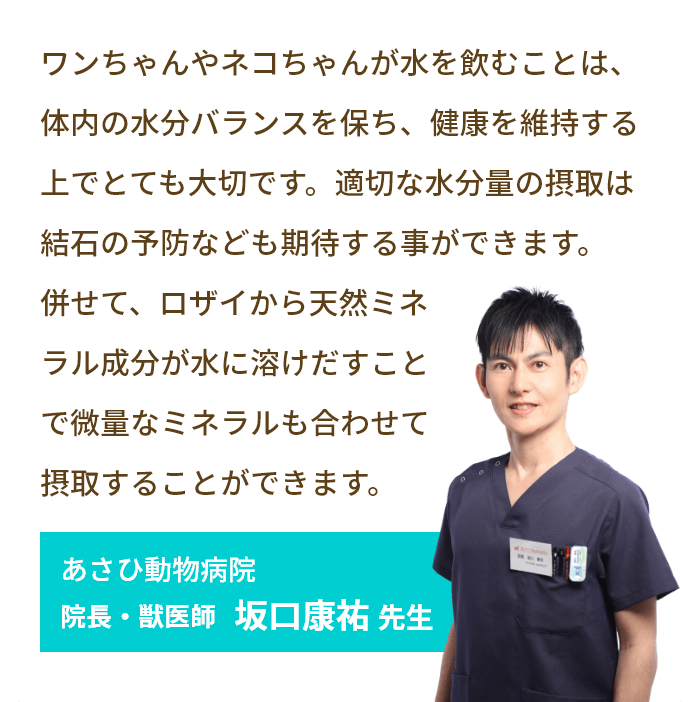 獣医師さんのコメント