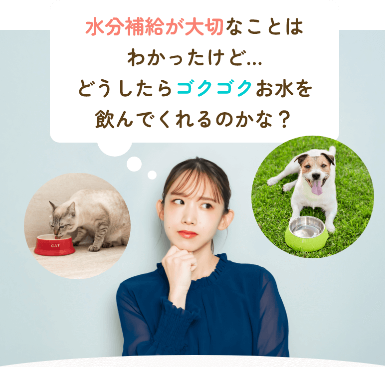水分補給が大切なことはわかったけど…
