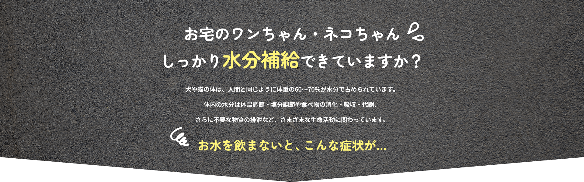 水分補給