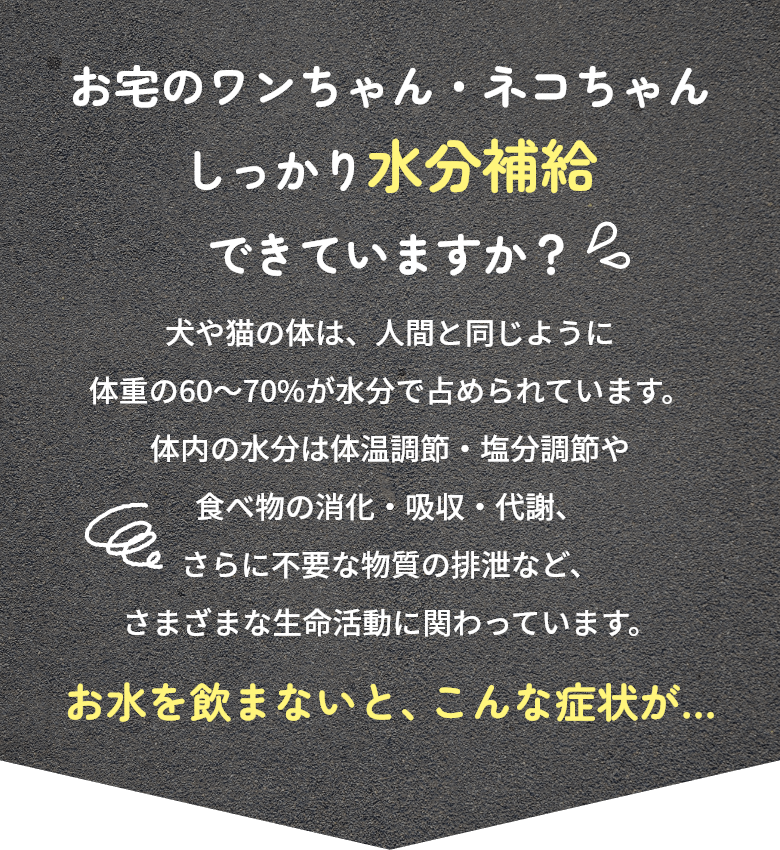 水分補給