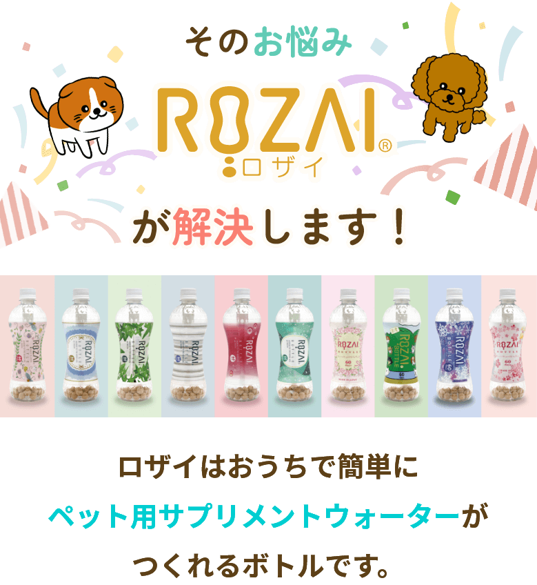 ROZAIが解決